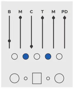 meris AUTOMATONE CXM1978 - WANDERING