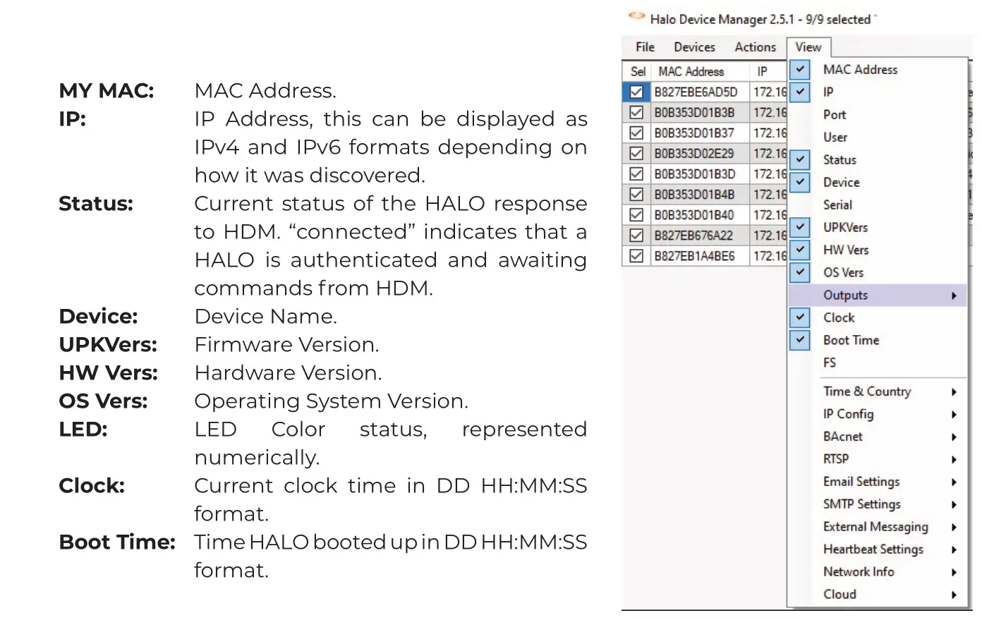 IP Video Corporation Halo Device Manager - Default View