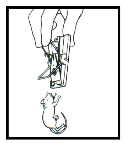 JULA-717027-Mouse-Trap-2