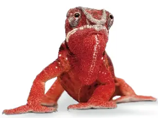 ELATEC RFID TWN3 LEGIC NFC RFID Card Reader - icon1