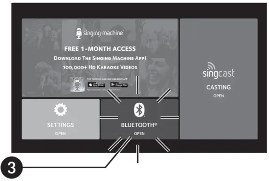 Using a Bluetooth Device