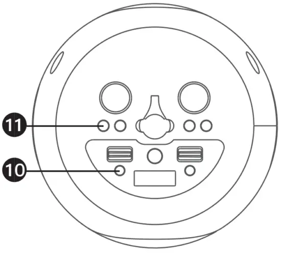 Using a Bluetooth Device
