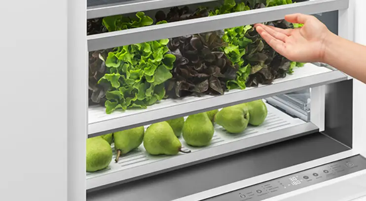 Fisher Paykel Rs2484wru1 24-inch Integrated Refrigerator Freezer User Guide