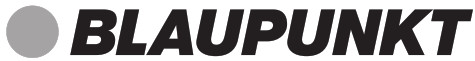 BLAUPUNKT logo