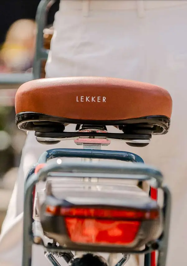 LeKKeR Jordaan Womens Electric Bike - fig2