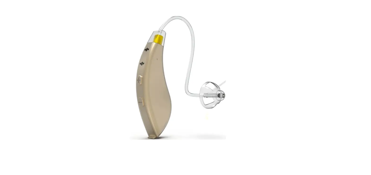 Blaids Hearing Aids User Manual
