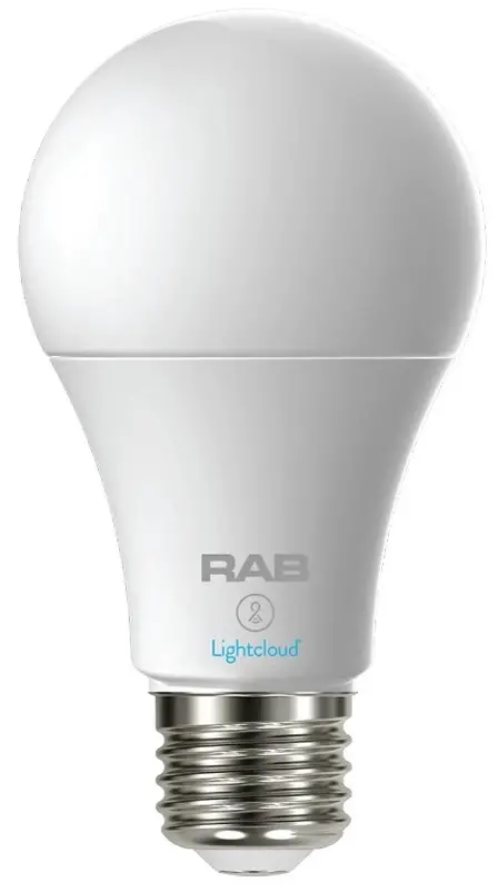 Lightcloud LCBA19-6-E26-9TW-F-C-SS Filament LED A19 Lamp
