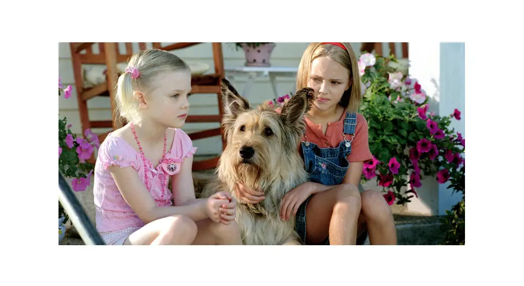 Faqs How Does Opal Get A Red Collar And A Leash For Winn-dixie? User Manual Faqs How Does Opal Get A Red Collar And A Leash For Winn-dixie? User Manual