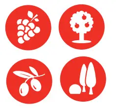 INFACO DSES F3020 Safety System Glove - icon