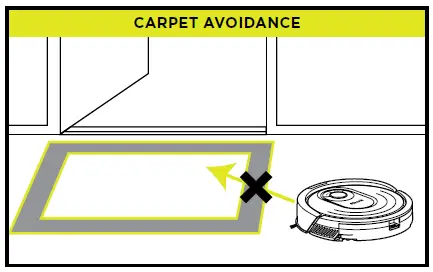 CARPET AVOIDANCE