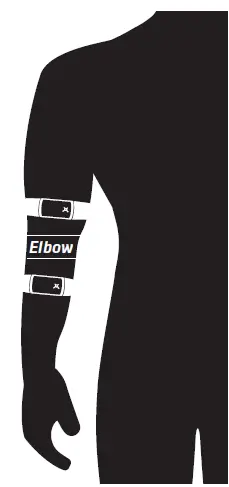 Recommended Placement During a Workout