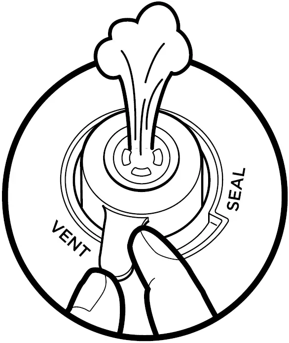 USING THE PRESSURE COOKING FUNCTIONS 06