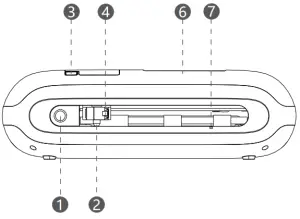 Appearance and function