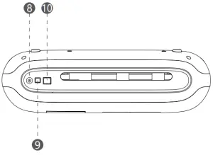 Appearance and function