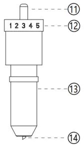 Appearance and function