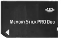 Memory Stick (MS)/Memory Stick Pro (MS Pro)