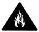 Safety Icon