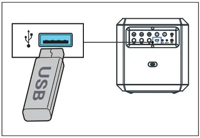 PHILIPS TAX4207 4000 Series Bluetooth Party Speaker - Inset the USB device