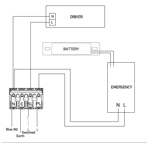 DECOLIGHT 67218E-Emergency-Ceiling-Plafo-03