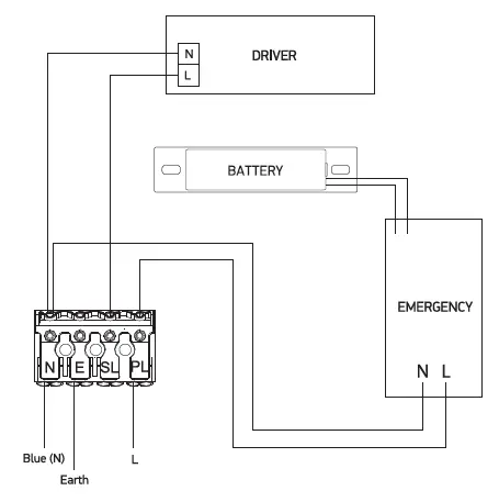 DECOLIGHT 67218E-Emergency-Ceiling-Plafo-04