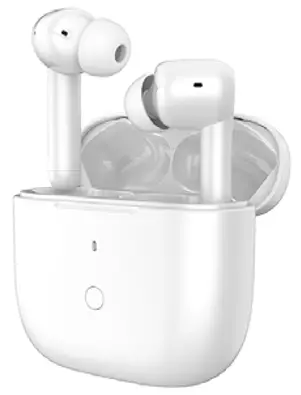 BS299GC-3 True Wireless Earbuds -