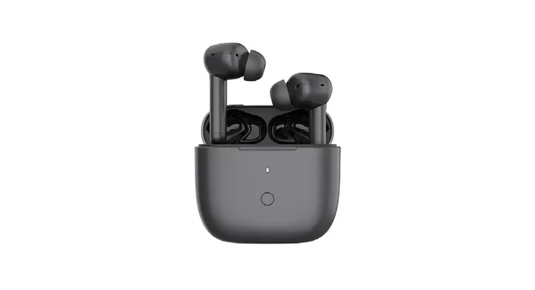 Bs299gc-3 True Wireless Earbuds User Guide Bs299gc-3 True Wireless Earbuds User Guide