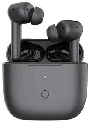 BS299GC-3 True Wireless Earbuds