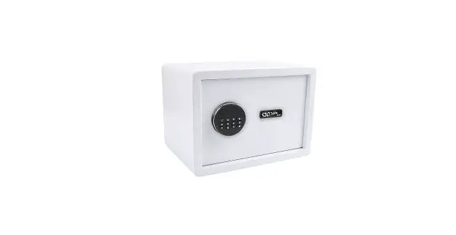 Olymp Gosafe 110 Business Systems Instruction Manual