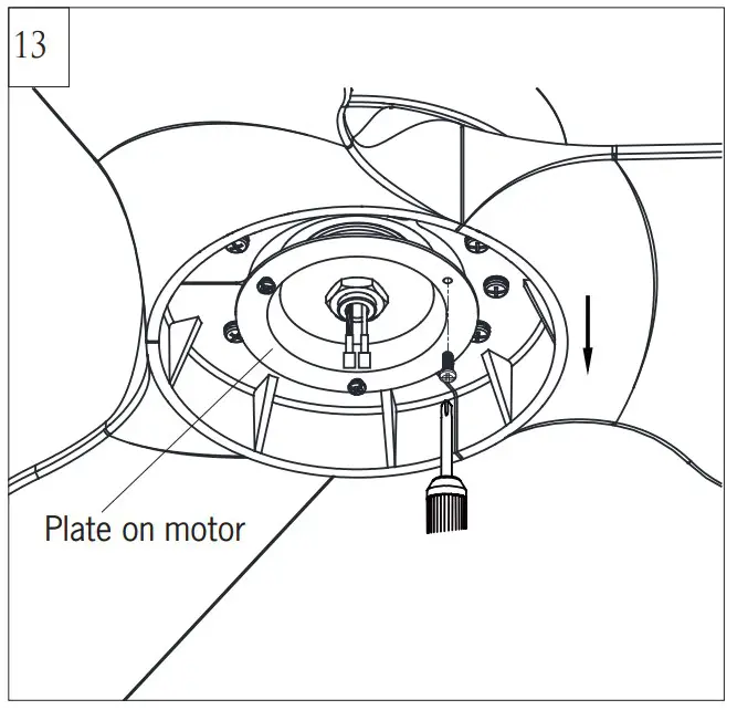 Assembly Instruction