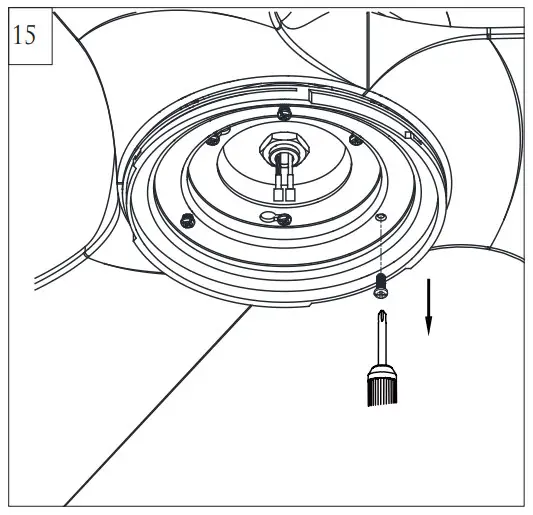 Assembly Instruction