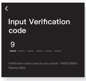 Enter the verification