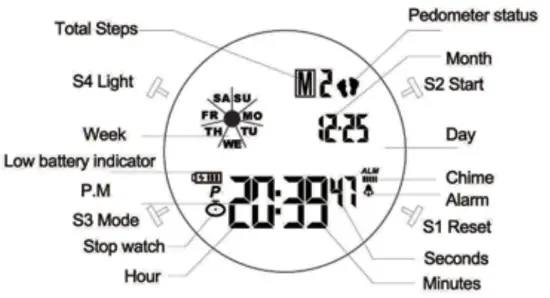 Pedometer watch function display