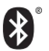 Bluetooth icon