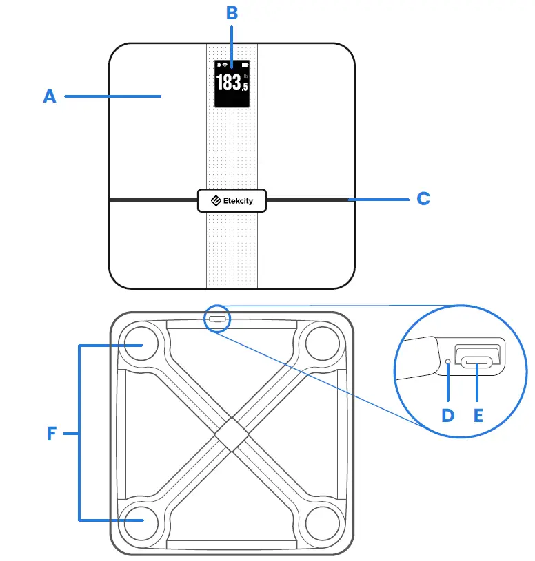 Etekcity Smart WiFi Body Fat Scale (1)