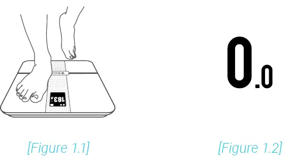 Etekcity Smart WiFi Body Fat Scale (4)