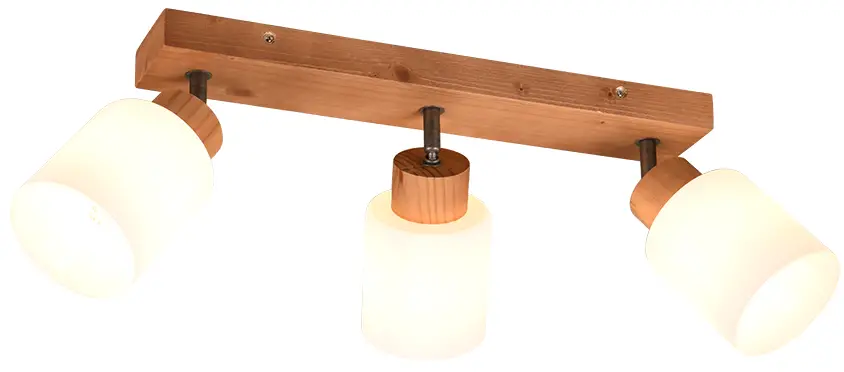 RL R81113030 Ceiling Spotlight