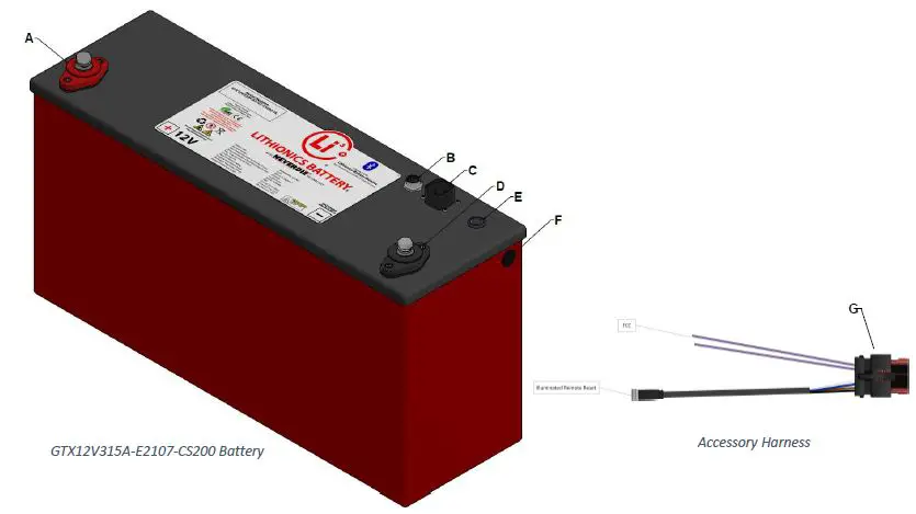 Lithionics Battery GTX12V315A-E2107-CS200 NeverDie Compact Series 200 Internal BMS-1