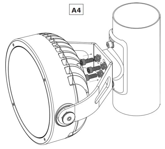 Anolis CALUMMA M LED Light- ACCESORIES17