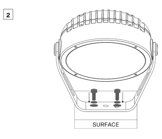 Anolis CALUMMA M LED Light- CALUMMA1