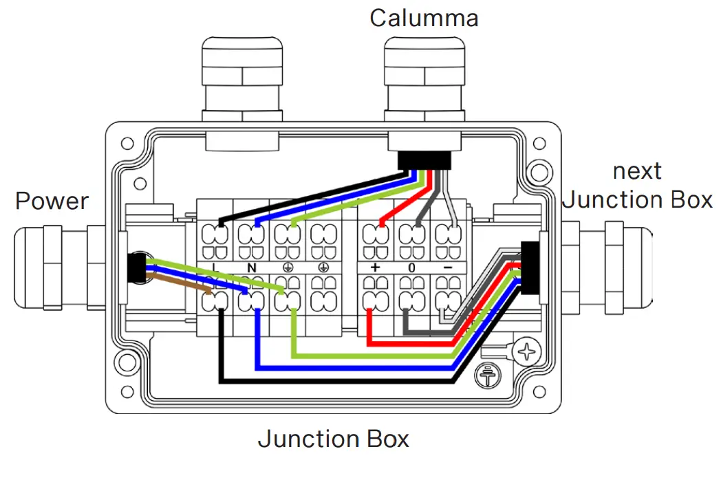 Anolis CALUMMA M LED Light- Junction Box3