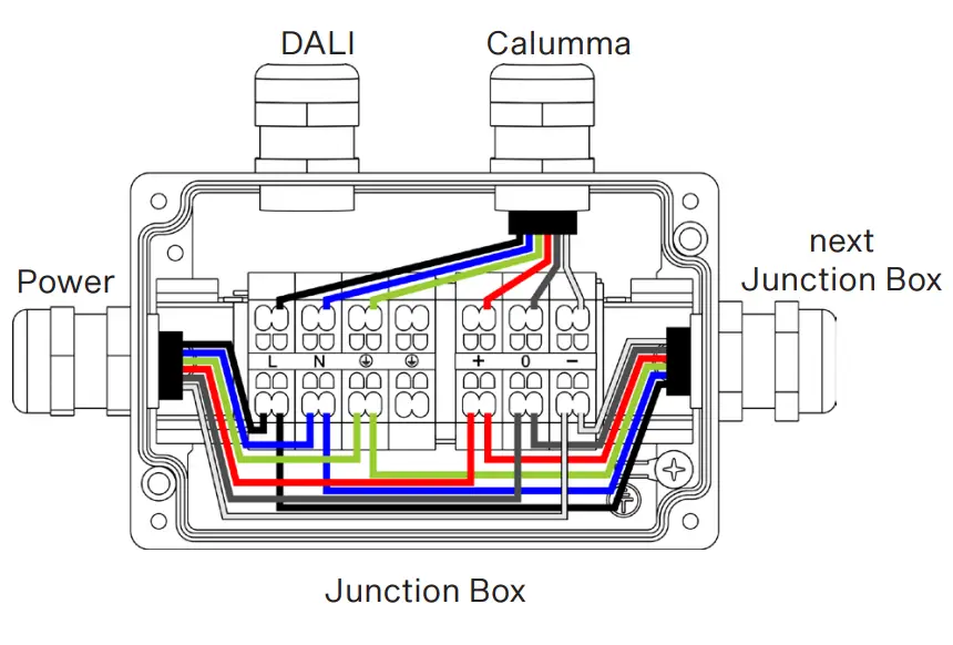 Anolis CALUMMA M LED Light- Junction Box4