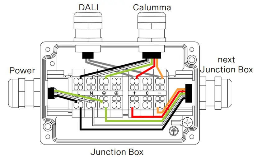 Anolis CALUMMA M LED Light- Junction Box5