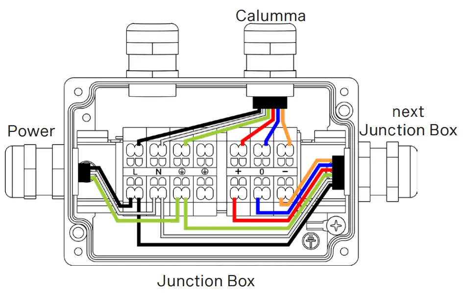 Anolis CALUMMA M LED Light- Junction Box7