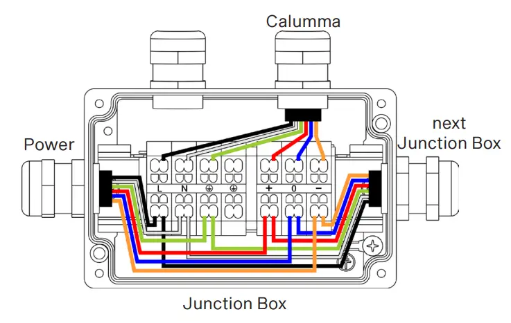 Anolis CALUMMA M LED Light- Junction Box8