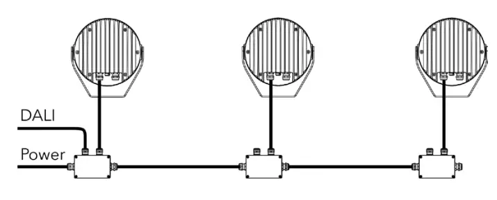 Anolis CALUMMA M LED Light- WIRE