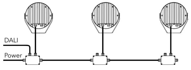 Anolis CALUMMA M LED Light- WIRE5