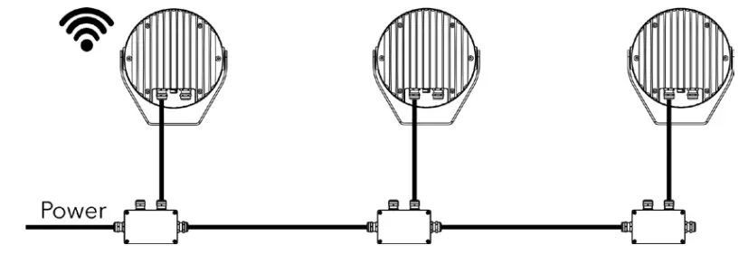 Anolis CALUMMA M LED Light- WIRE7