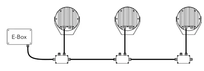 Anolis CALUMMA M LED Light- WIRE8