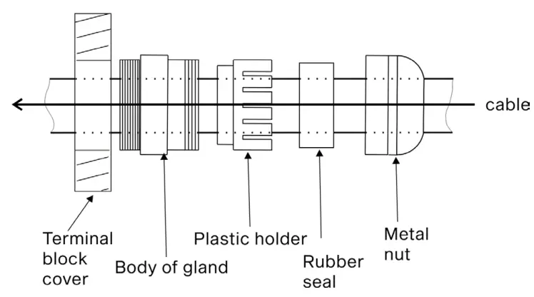 Anolis CALUMMA M LED Light- cable