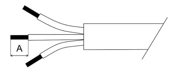 Anolis CALUMMA M LED Light- cable1